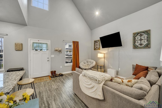 living room featuring hardwood / wood-style flooring and high vaulted ceiling