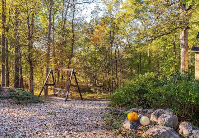 view of yard featuring a playground