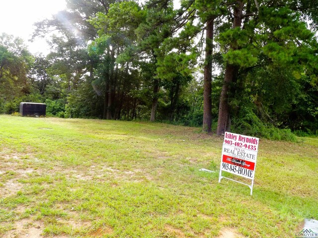 3072 N Point Pleasant Rd, Gladewater, TX 75647 - photo 1