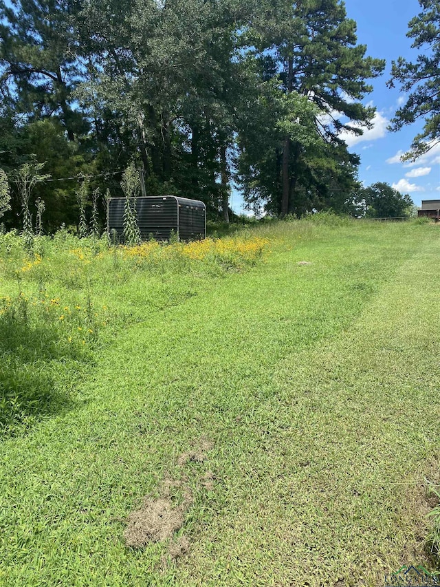 3072 N Point Pleasant Rd, Gladewater, TX 75647 - photo 3
