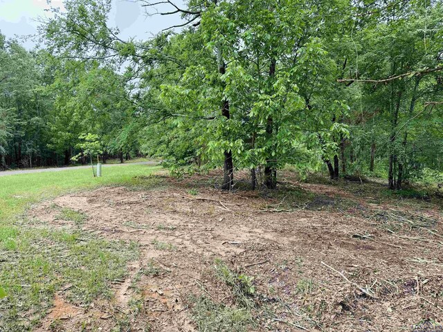 TBD Katie Lane, Gilmer, TX 75644 - photo 5