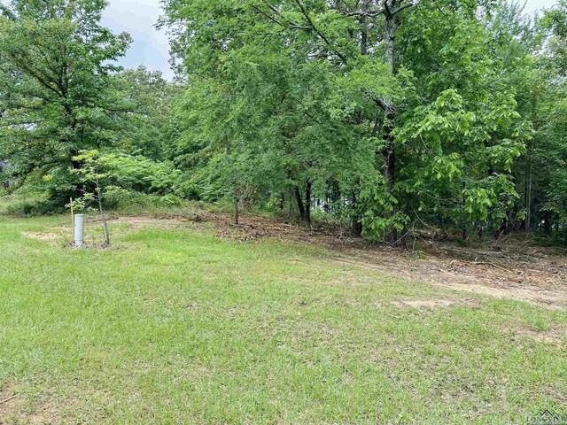 TBD Katie Lane, Gilmer, TX 75644 - photo 4