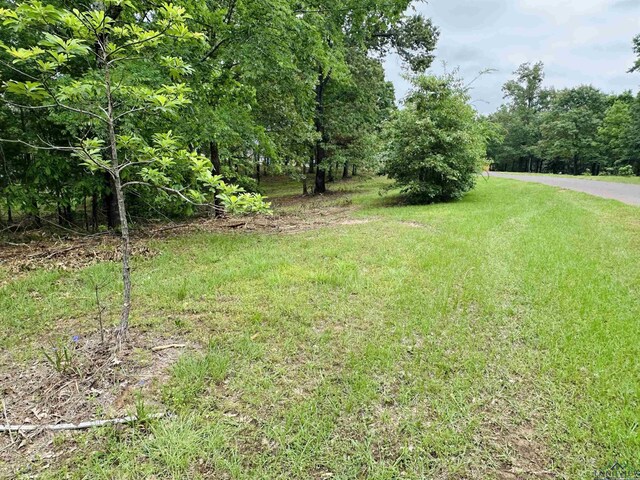 TBD Katie Lane, Gilmer, TX 75644 - photo 2