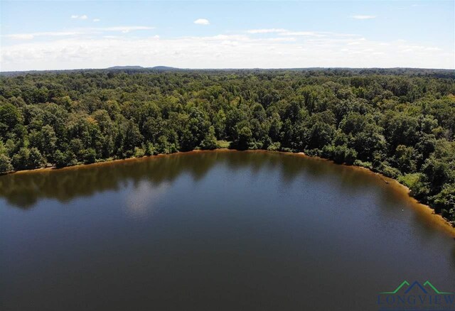 TBD Katie Lane, Gilmer, TX 75644 - photo 8