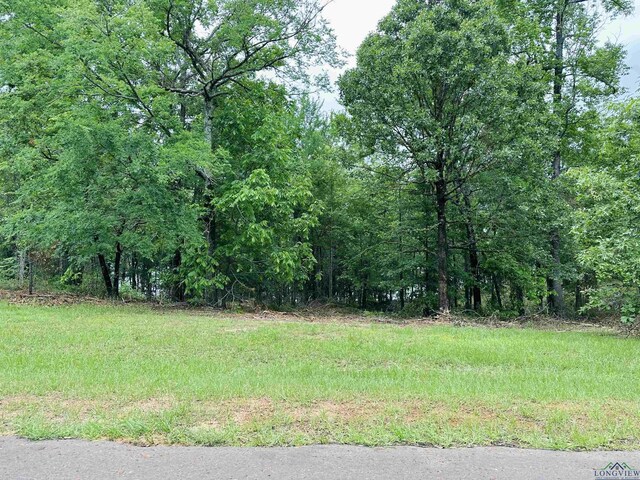 TBD Katie Lane, Gilmer, TX 75644 - photo 3