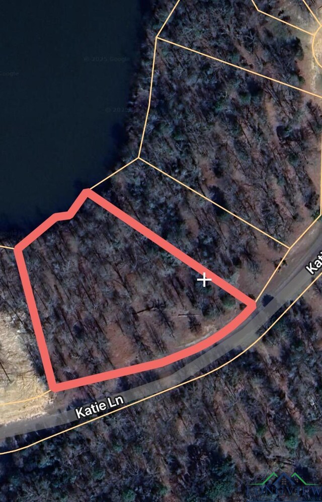 TBD Katie Lane, Gilmer, TX 75644 - photo 11