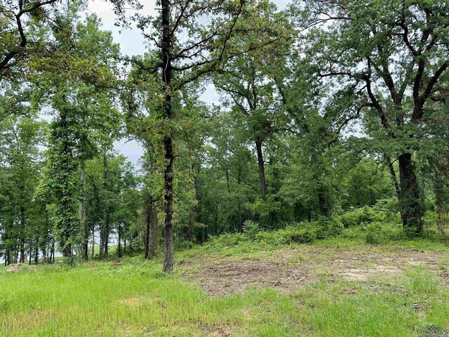 TBD Katie Lane, Gilmer, TX 75644 - photo 6