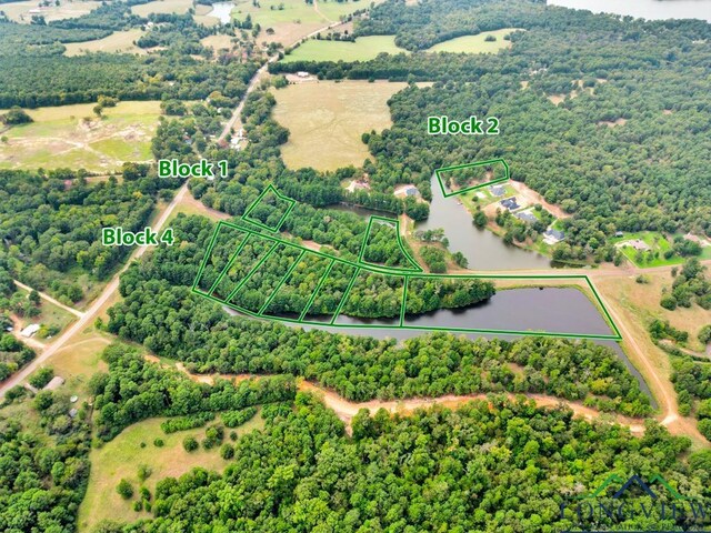 LOT42 Katie Ln, Gilmer, Tx, Usa, Gilmer, TX 75644 - photo 10