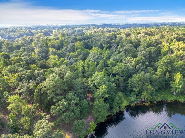 LOT42 Katie Ln, Gilmer, Tx, Usa, Gilmer, TX 75644 - photo 2