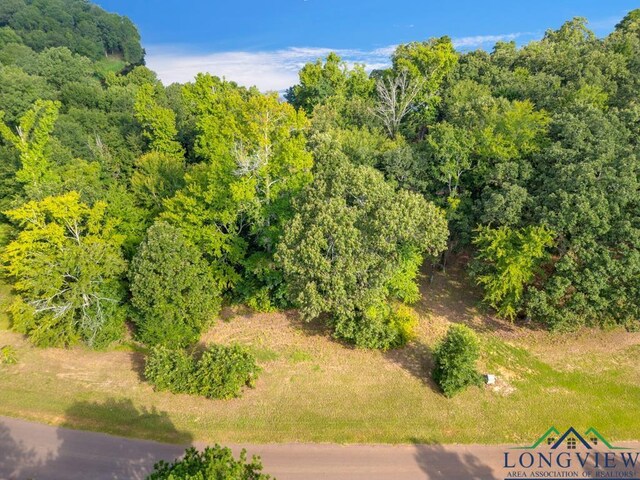 LOT42 Katie Ln, Gilmer, Tx, Usa, Gilmer, TX 75644 - photo 7