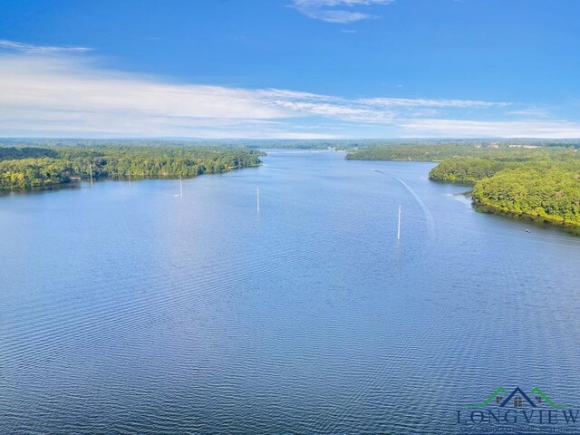 LOT42 Katie Ln, Gilmer, Tx, Usa, Gilmer, TX 75644 - photo 4