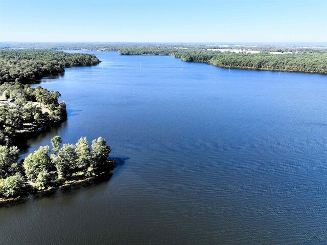LOT42 Katie Ln, Gilmer, Tx, Usa, Gilmer, TX 75644 - photo 17