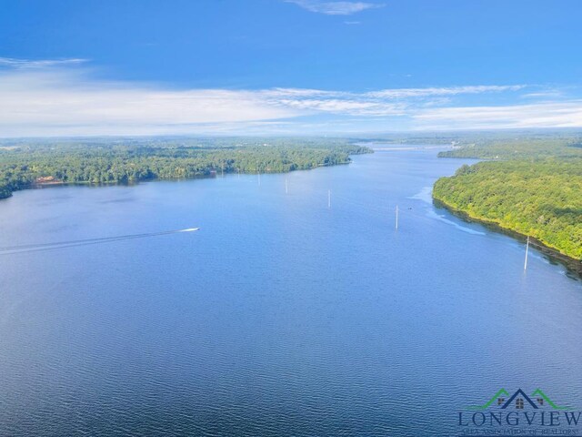 LOT42 Katie Ln, Gilmer, Tx, Usa, Gilmer, TX 75644 - photo 5