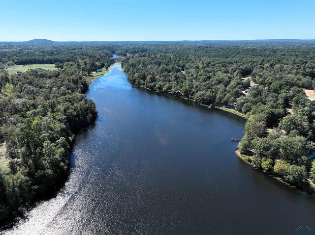 LOT42 Katie Ln, Gilmer, Tx, Usa, Gilmer, TX 75644 - photo 16