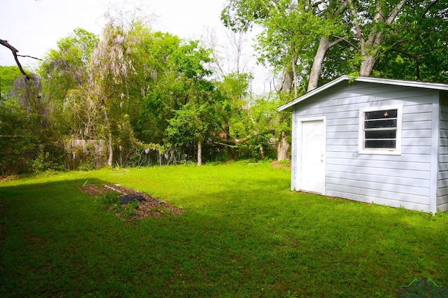 view of yard with a storage shed