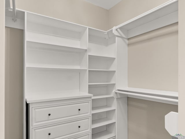 view of spacious closet