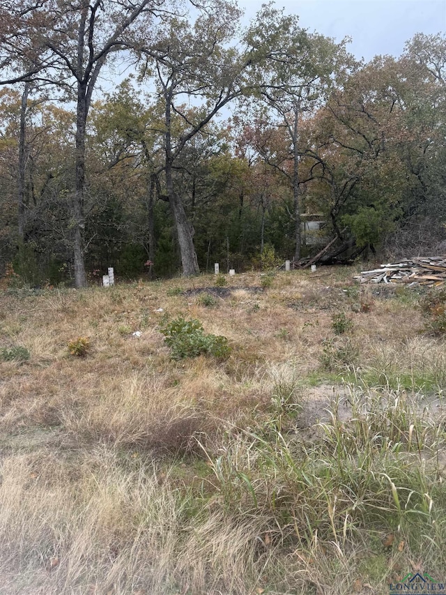 Listing photo 3 for TBD Running Deer Road, Mabank TX 75156