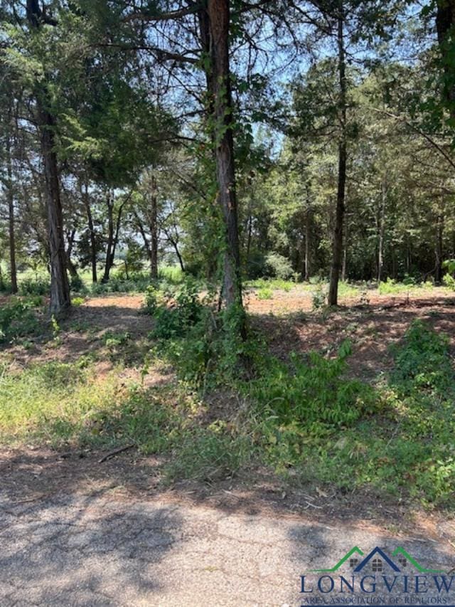 TBD Cr 4365, Mount Pleasant TX, 75455 land for sale