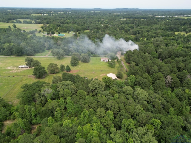 150 Norfolk Rd, Gilmer, TX 75644 - photo 9