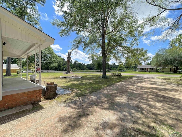 view of grassy yard