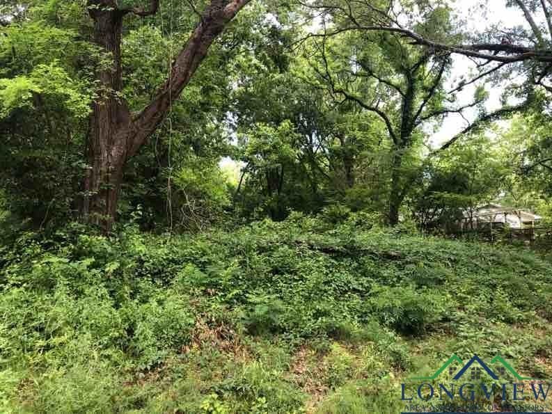 505 W Luckett St, Longview, TX 75601 - photo 2