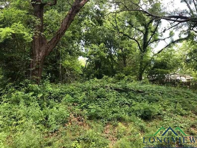 505 W Luckett St, Longview, TX 75601 - photo 2