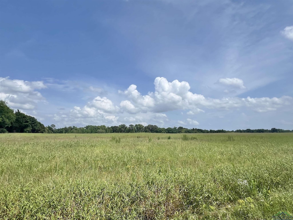 TBD Cr 1670, Mount Pleasant, TX 75455 - photo 1