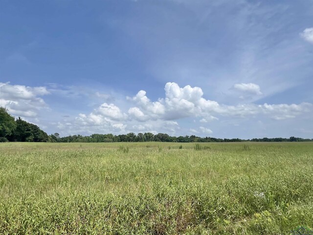 TBD Cr 1670, Mount Pleasant, TX 75455 - photo 1