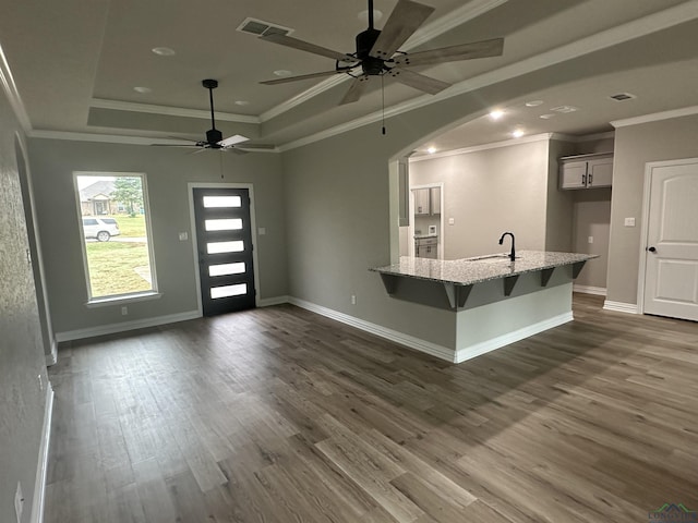 interior space with dark wood-type flooring, crown molding, a raised ceiling, and sink