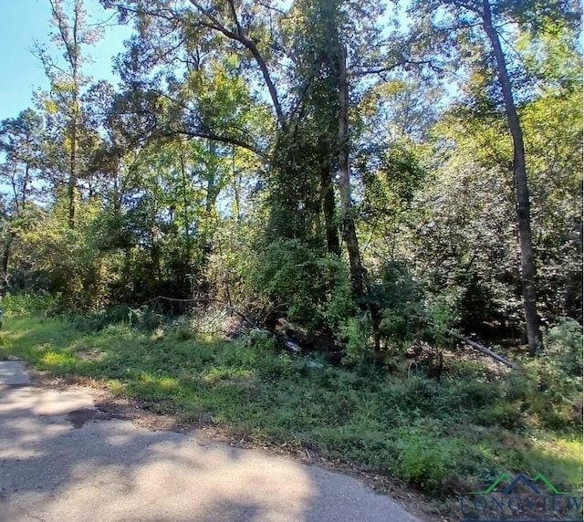 Listing photo 2 for TBD Liberty Rd, Jefferson TX 75657