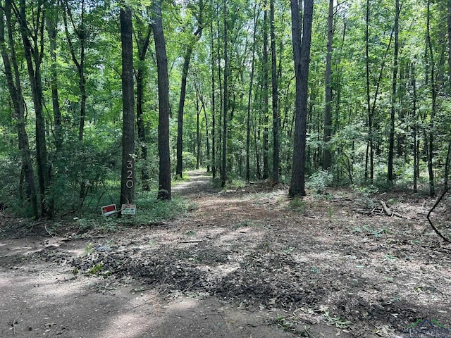 320 County Road 4683, Timpson, TX 75975