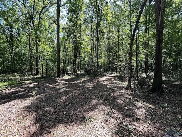 320 County Road 4683, Timpson, TX 75975