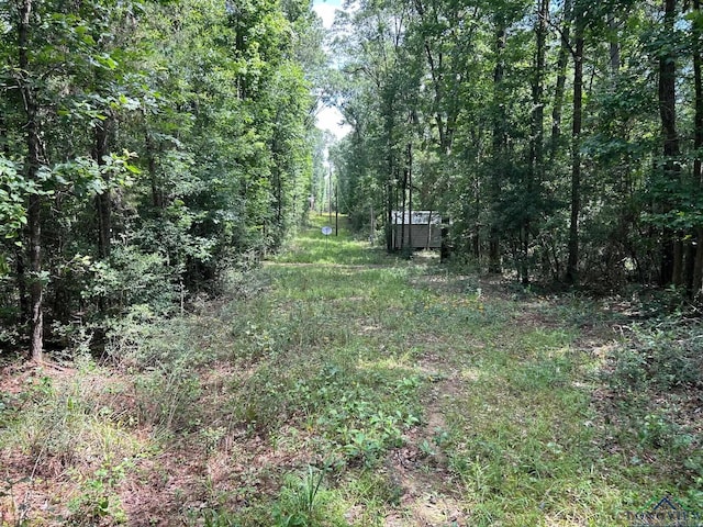 320 County Road 4683, Timpson, TX 75975