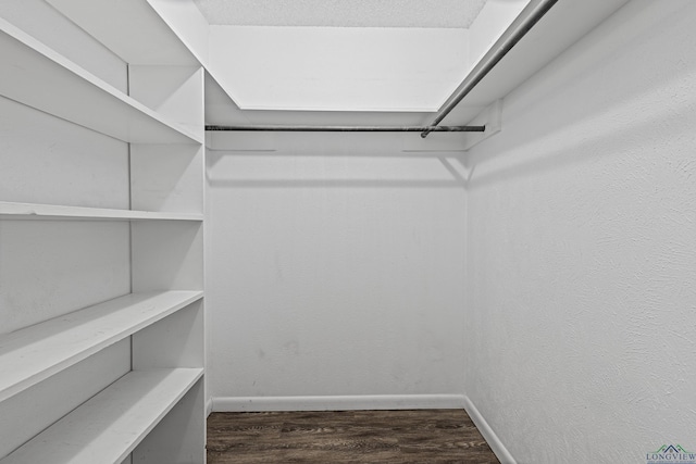 walk in closet featuring dark hardwood / wood-style floors