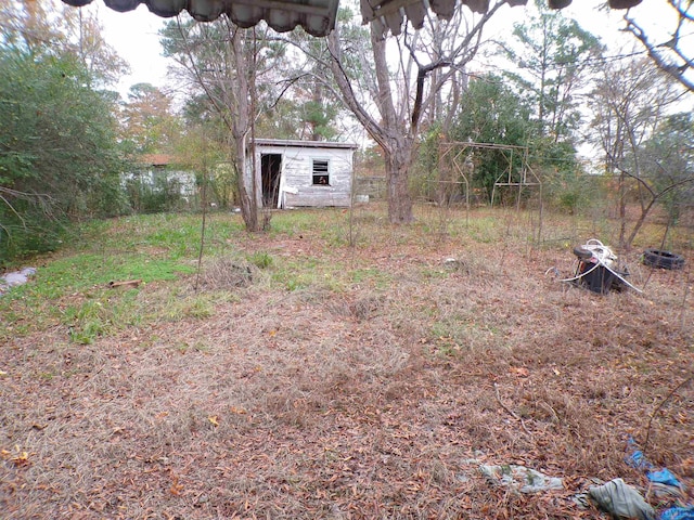 view of yard featuring a shed