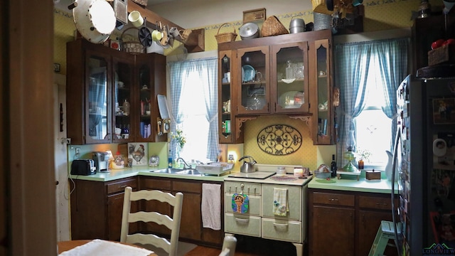 kitchen featuring sink and a healthy amount of sunlight