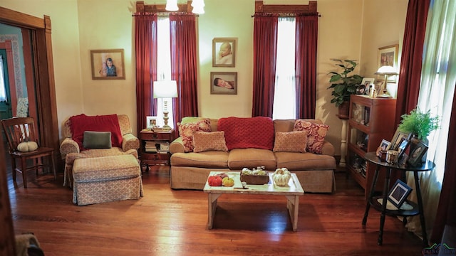 living room with hardwood / wood-style floors and a healthy amount of sunlight