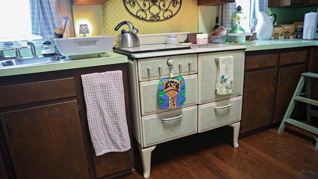 kitchen featuring dark brown cabinetry, dark hardwood / wood-style flooring, and sink