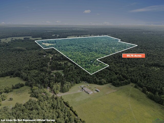 TBD Fm 805, Jefferson, TX 75657 - photo 4