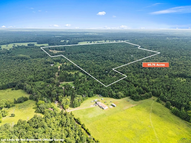 TBD Fm 805, Jefferson, TX 75657 - photo 6