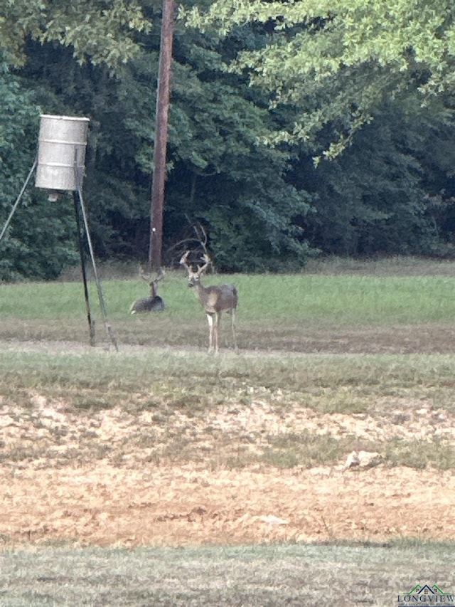 TBD Fm 805, Jefferson, TX 75657 - photo 13