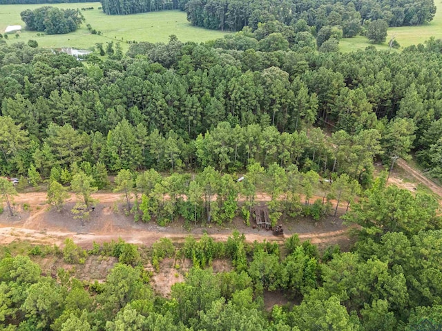 TBD Fm 805, Jefferson, TX 75657 - photo 25