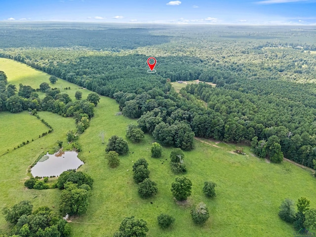 TBD Fm 805, Jefferson, TX 75657 - photo 5