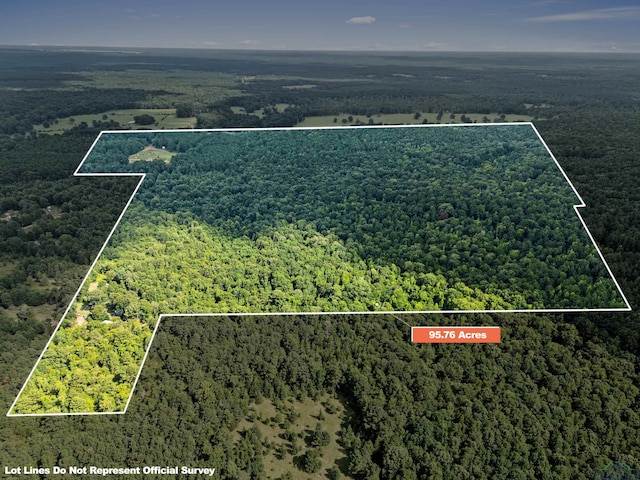 TBD Fm 805, Jefferson, TX 75657 - photo 2