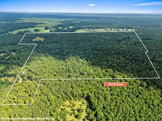 TBD Fm 805, Jefferson, TX 75657 - photo 3