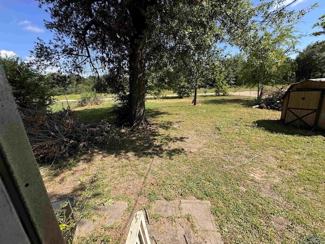 view of yard with a shed