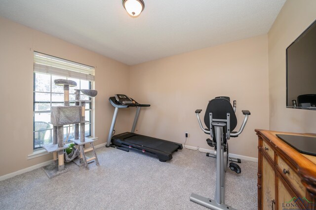 exercise area with light colored carpet