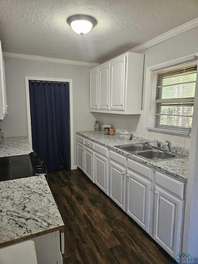 kitchen with sink, dark hardwood / wood-style floors, ornamental molding, a textured ceiling, and white cabinetry