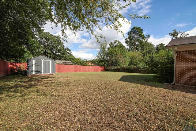 view of yard featuring a storage unit