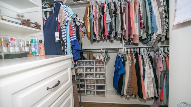 view of walk in closet